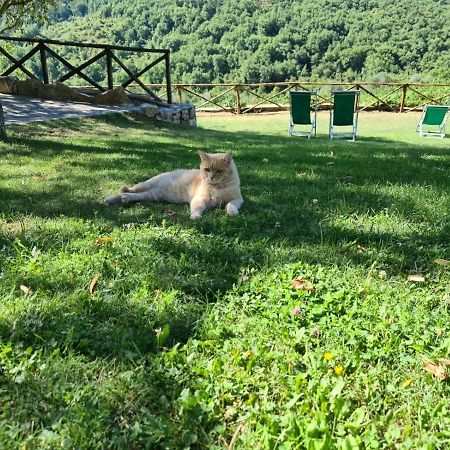 Villa Casalta Agriturismo Кастелина ин Шианти Экстерьер фото