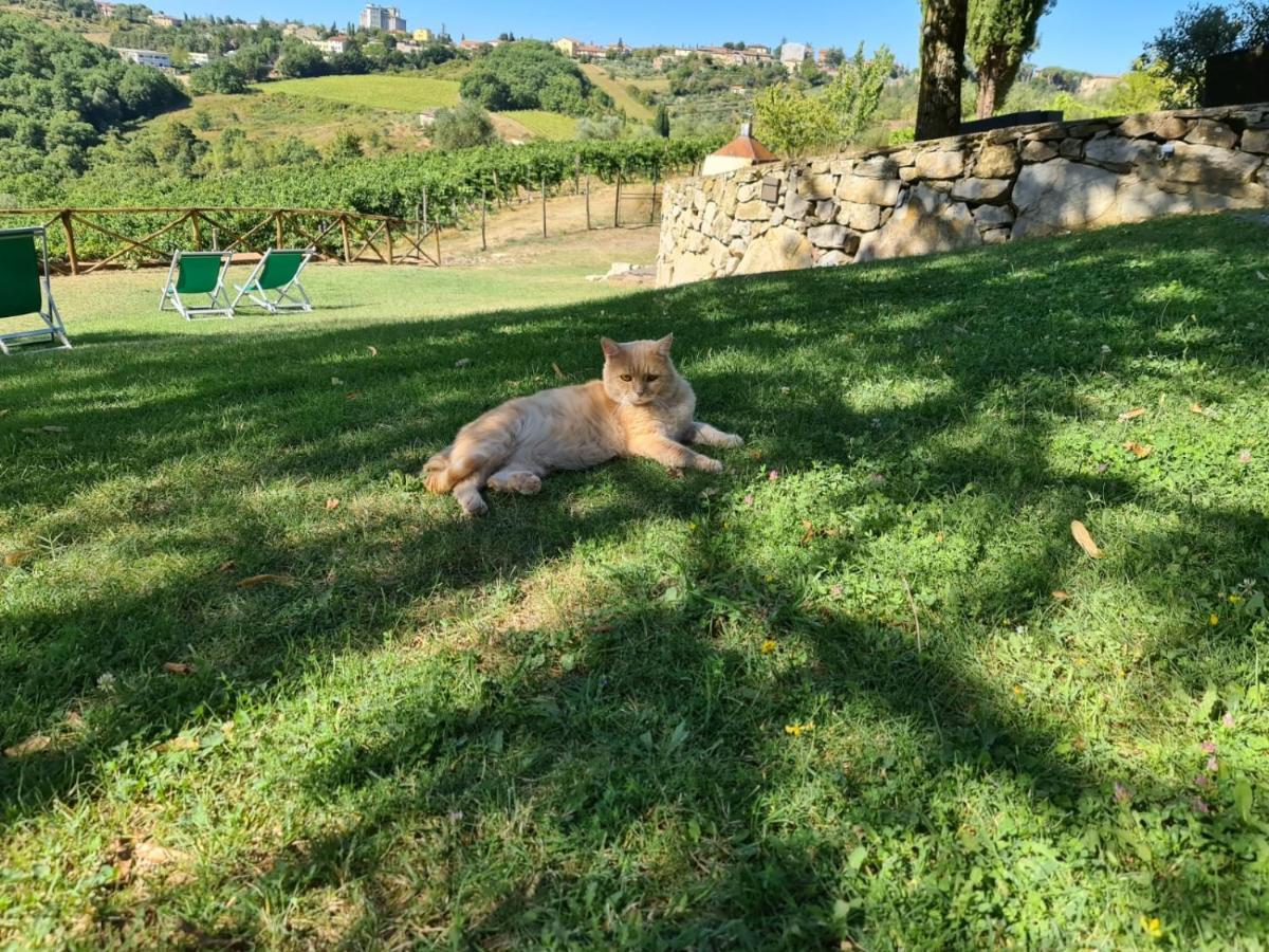 Villa Casalta Agriturismo Кастелина ин Шианти Экстерьер фото